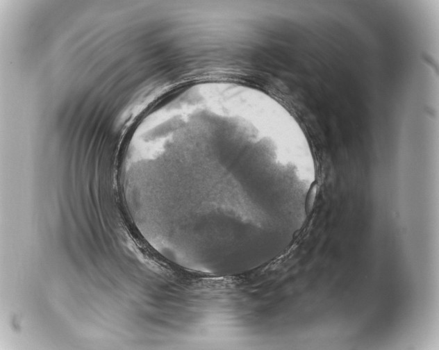 X0000102020050200808151325