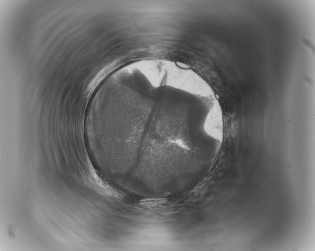 X0000102020051200808151325