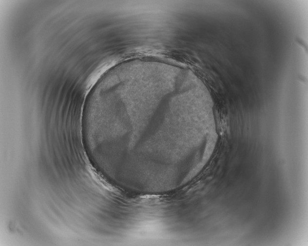 X0000102020052200808151325