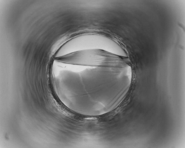 X0000102020053200808151325