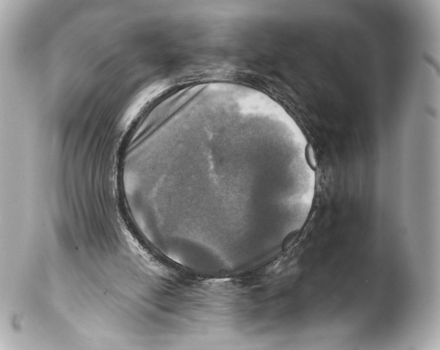 X0000102020054200808151325