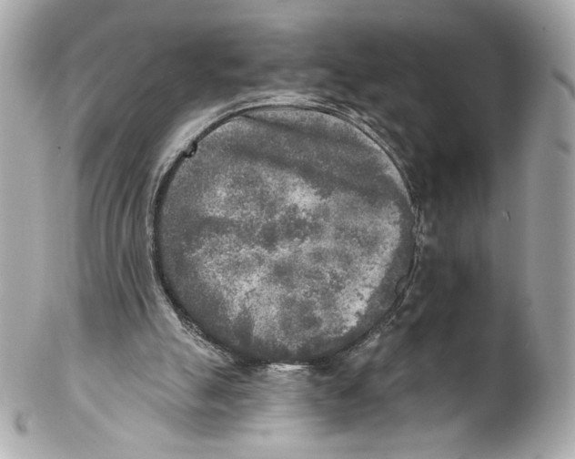 X0000102020055200808151325