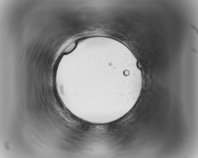 X0000102020056200808151325