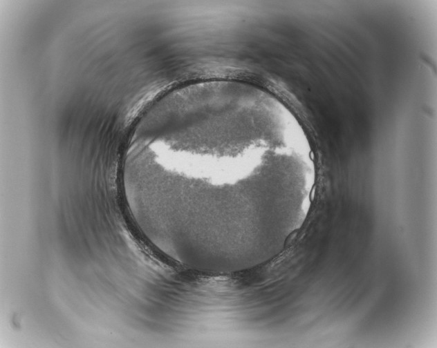 X0000102020058200808151325