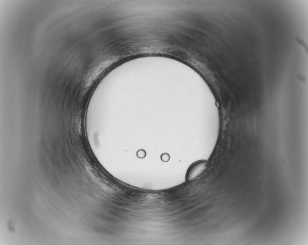 X0000102020060200808151326