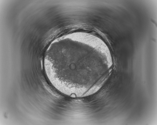 X0000102020061200808151326