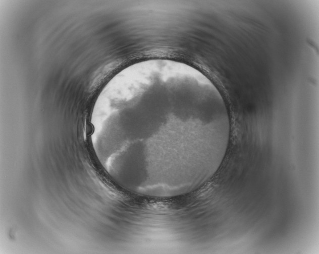 X0000102020062200808151326