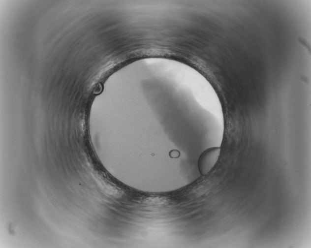 X0000102020063200808151326