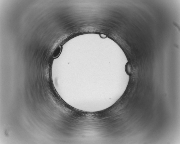 X0000102020064200808151326