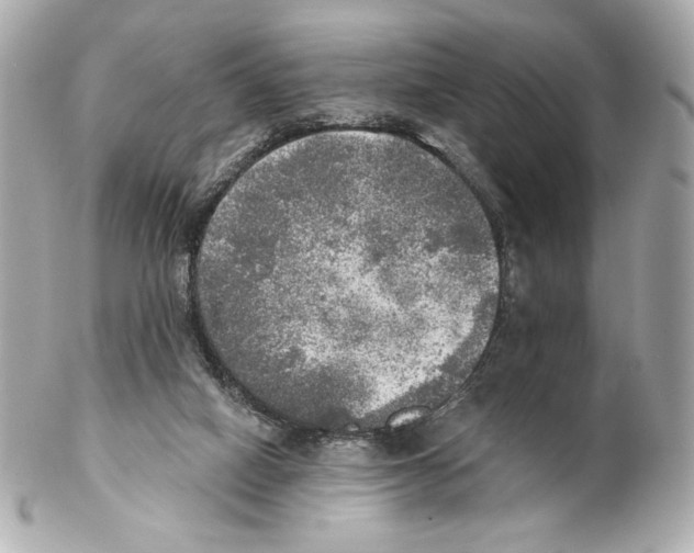 X0000102020066200808151326
