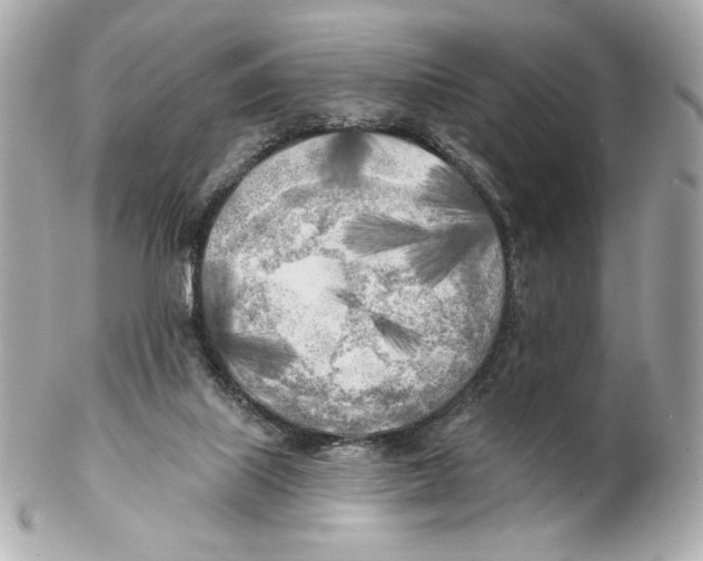 X0000102020067200808151326
