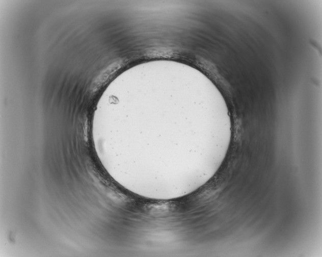 X0000102020068200808151326