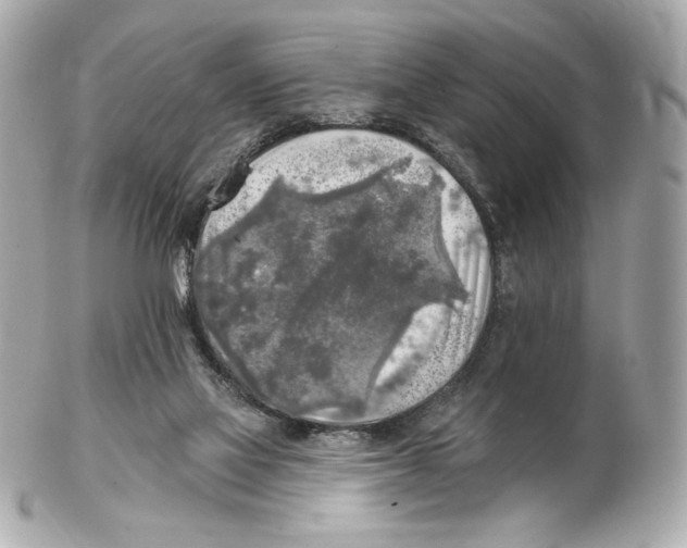 X0000102020069200808151326