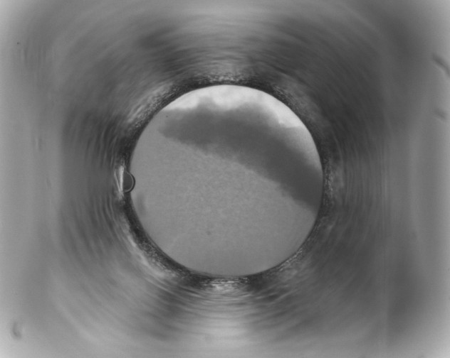 X0000102020070200808151326