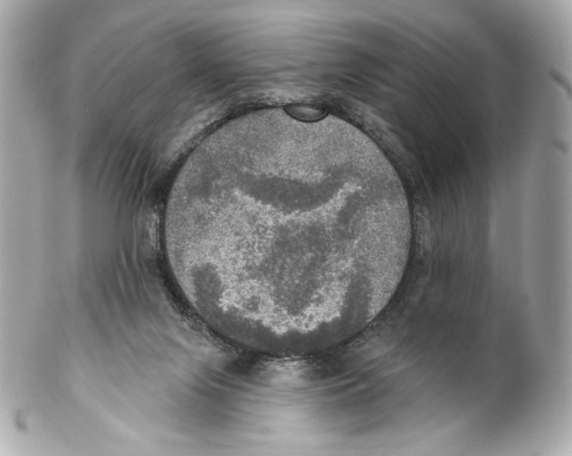 X0000102020071200808151326