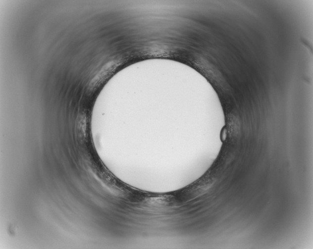 X0000102020072200808151326