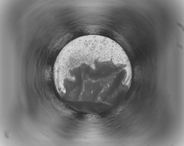X0000102020073200808151326