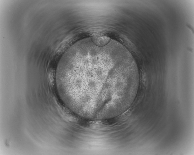 X0000102020074200808151326