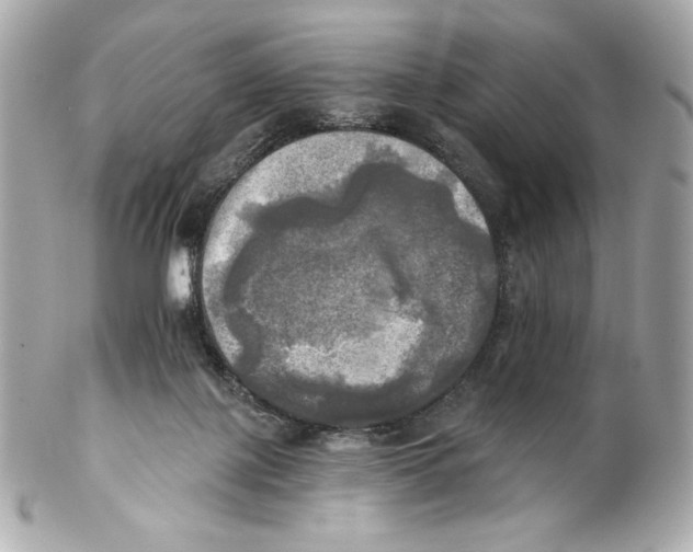X0000102020075200808151326