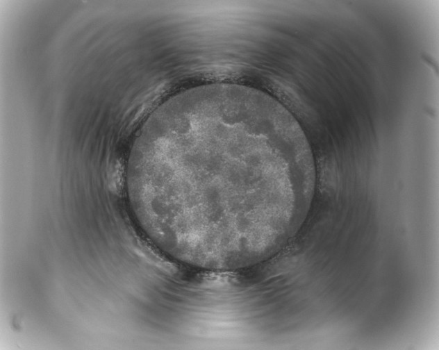 X0000102020077200808151326
