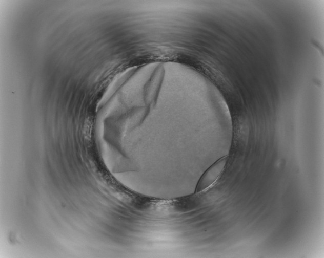 X0000102020078200808151326