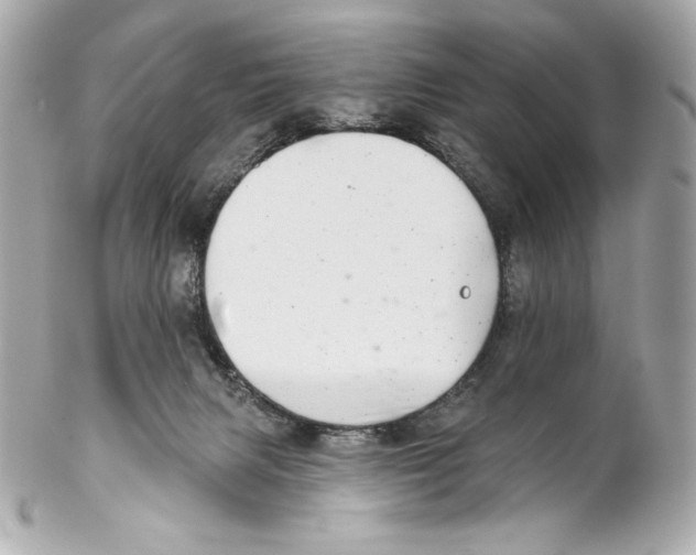 X0000102020079200808151326