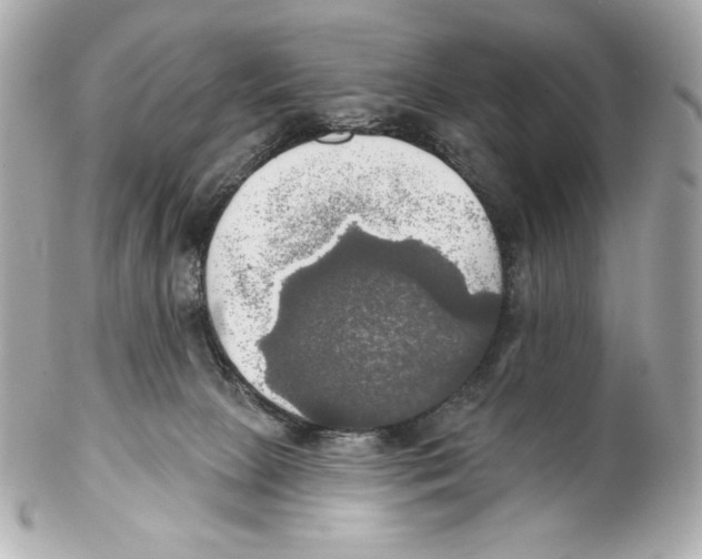 X0000102020081200808151326