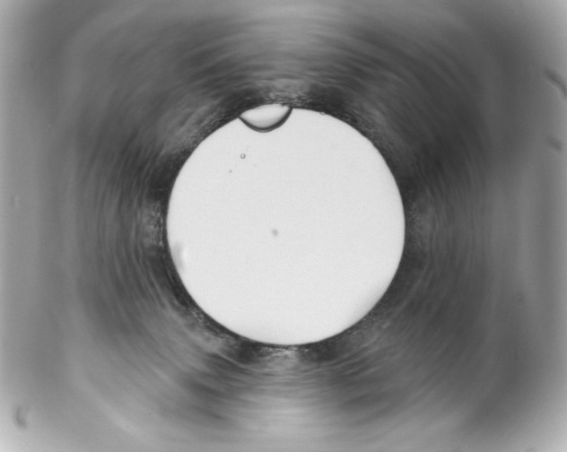 X0000102020083200808151326