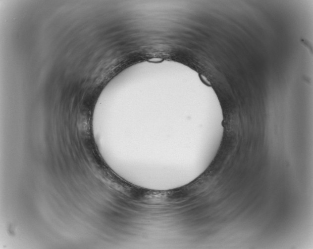 X0000102020084200808151326