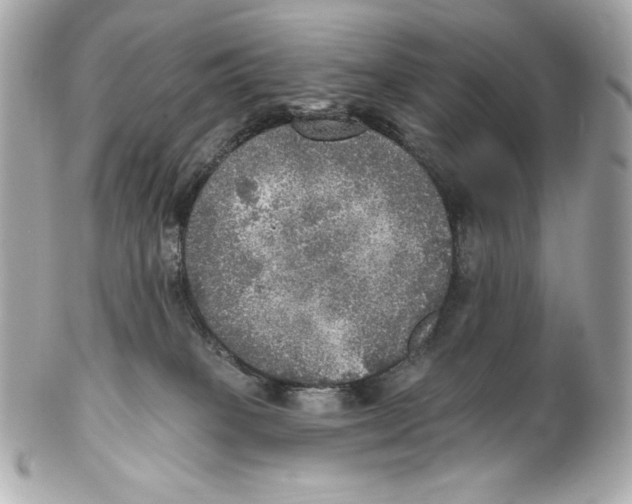 X0000102020085200808151326