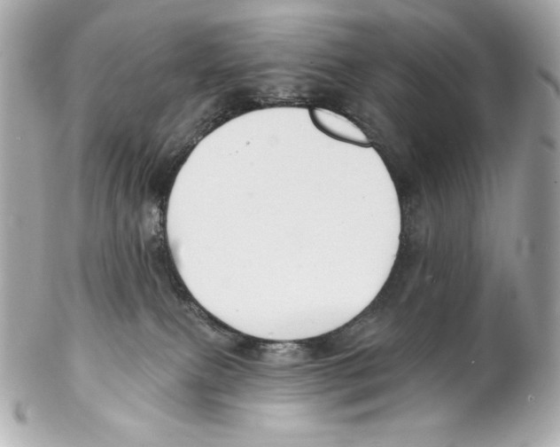 X0000102020087200808151326