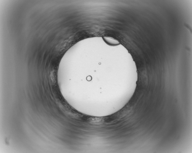X0000102020088200808151326