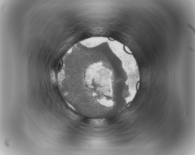 X0000102020089200808151326