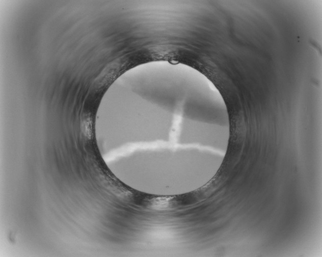 X0000102020090200808151326