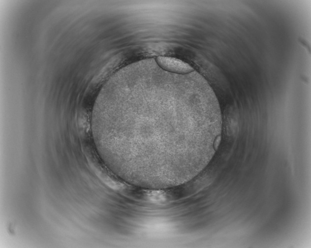X0000102020091200808151326