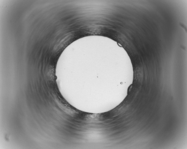 X0000102020092200808151326