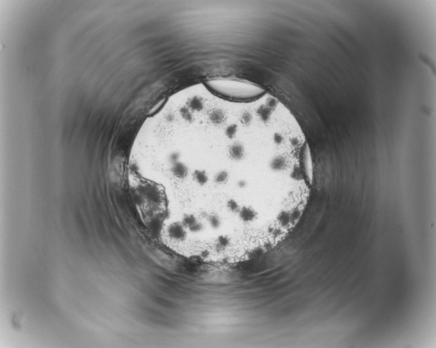 X0000102020093200808151326