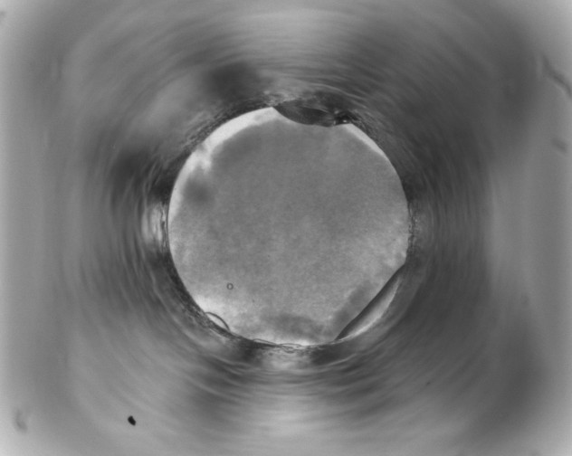 X0000102020094200808151326