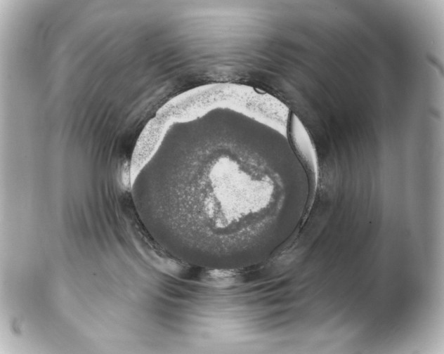 X0000102020095200808151326