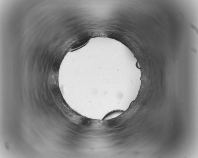 X0000102020096200808151326