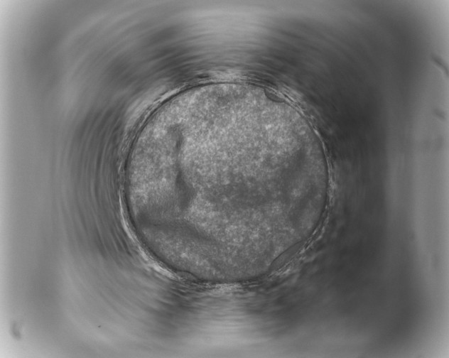 X0000102020097200808151325