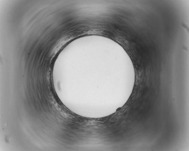 X0000102020098200808151325