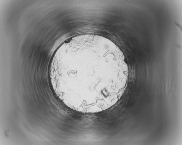 X0000102020099200808151325