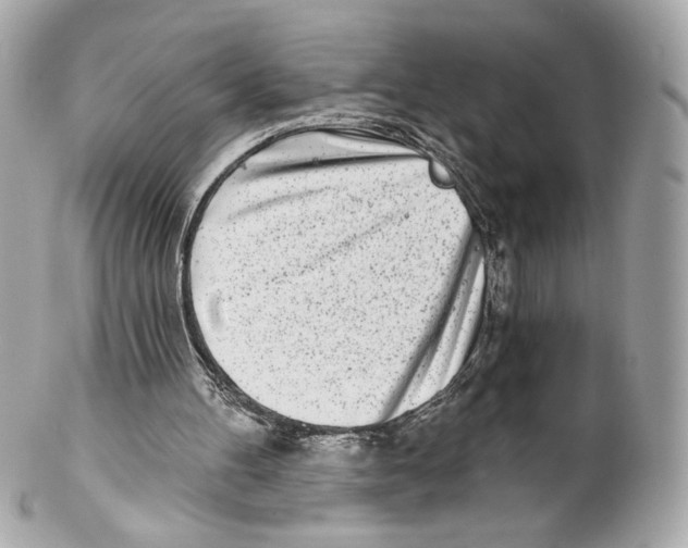 X0000102020100200808151325