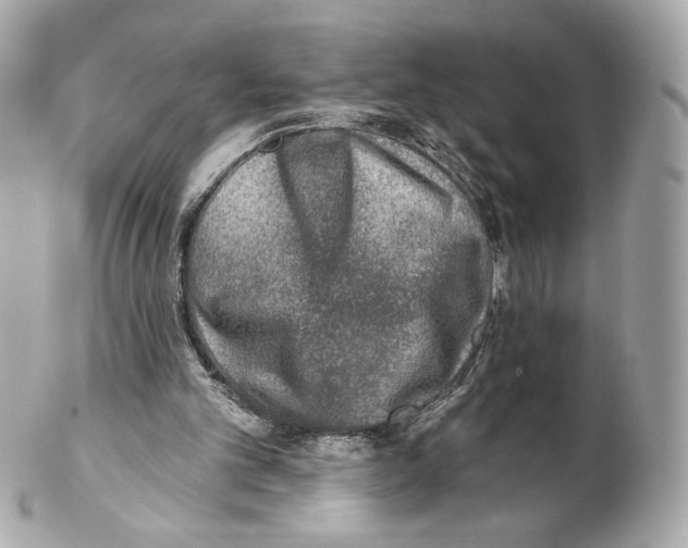 X0000102020101200808151325