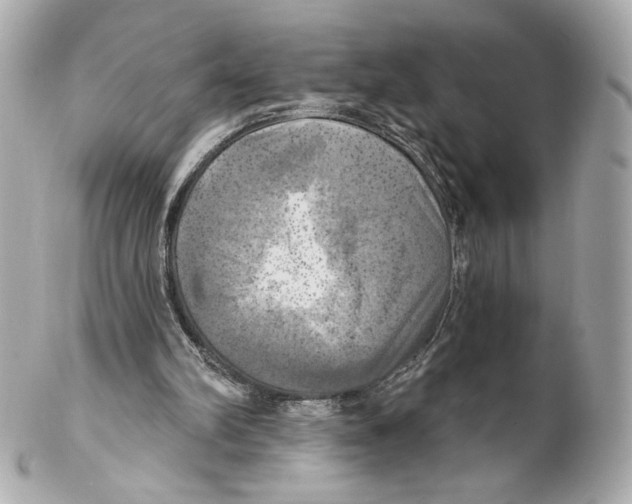 X0000102020102200808151325