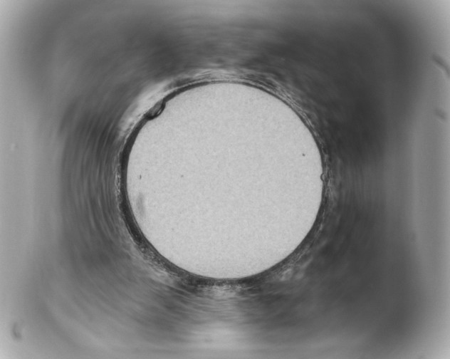 X0000102020103200808151325
