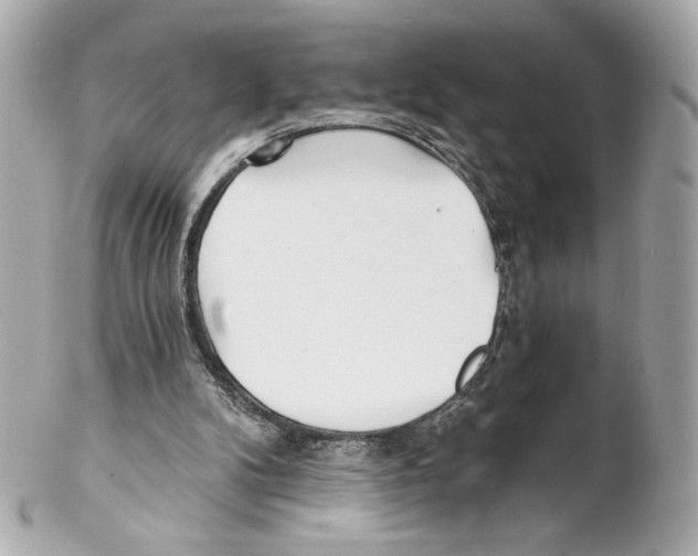 X0000102020104200808151325