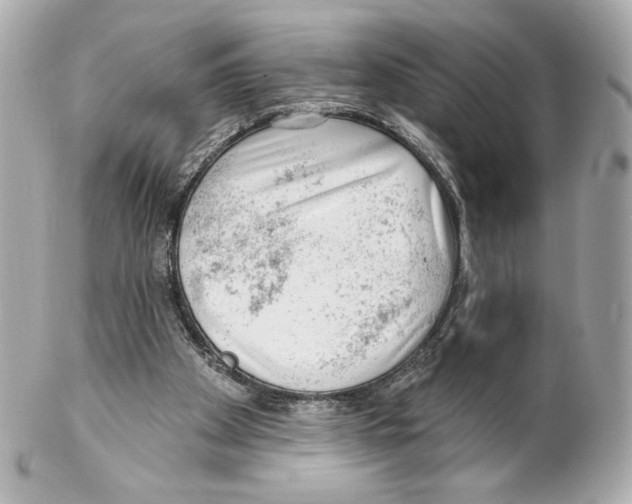 X0000102020105200808151325
