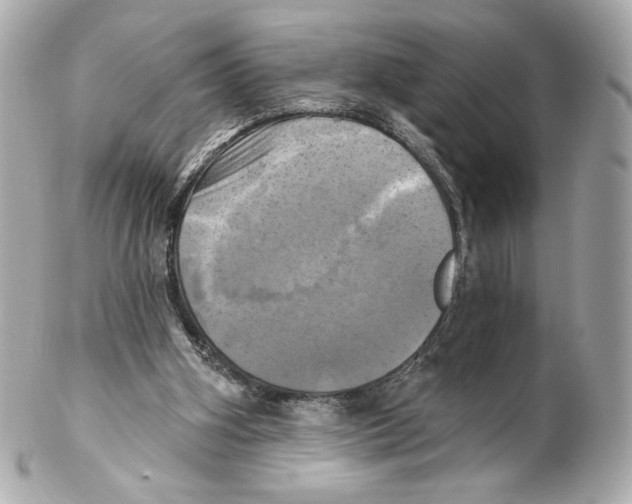 X0000102020106200808151325